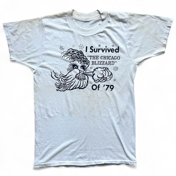 True Vintage 70s I Survived Chicago Blizzard 79 T Shirt Single Stitch M Winter
